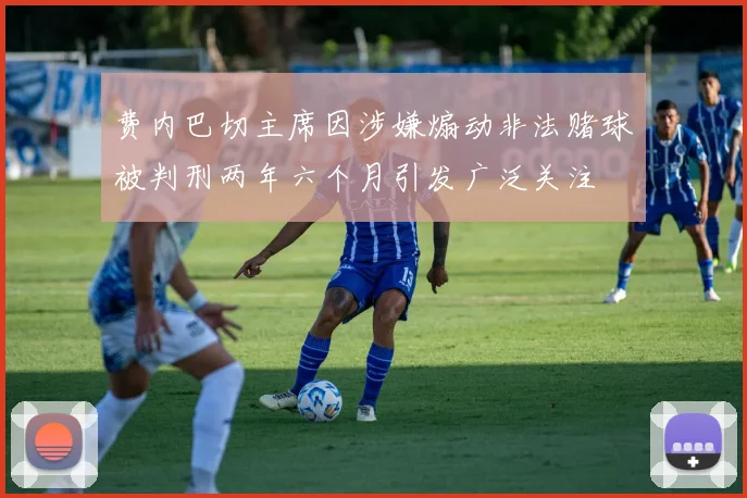 费内巴切主席因涉嫌煽动非法赌球被判刑两年六个月引发广泛关注